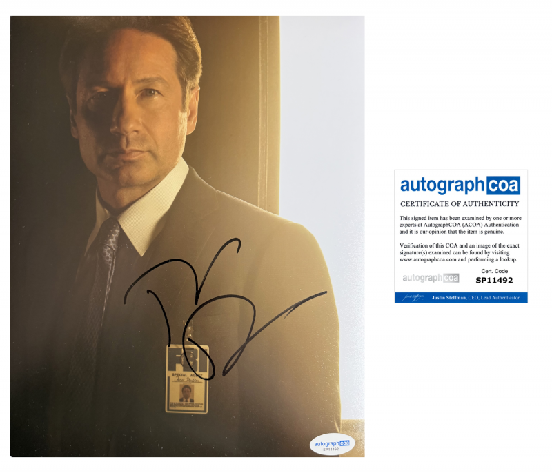 David Duchovny - 10x8 - fox mulder - x-files - ACOA