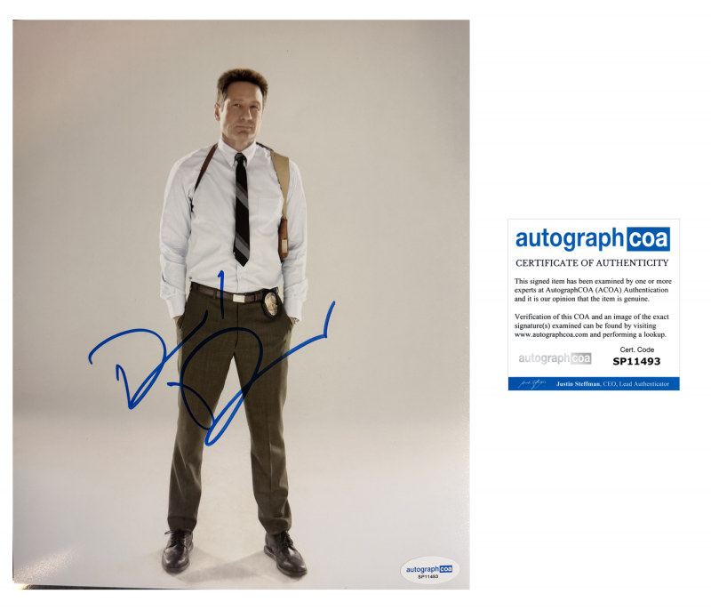 David Duchovny - 10x8 - fox mulder - x-files - ACOA